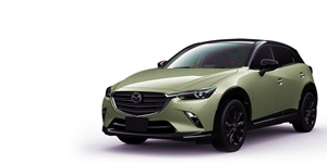 マツダ CX-3 DK5FWの画像 マツダ CX-3 DK5FW
