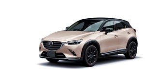 マツダ CX-3 DK8FYの画像 マツダ CX-3 DK8FY