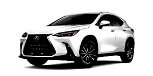 NX HYBRID