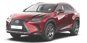NX