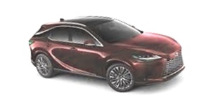 RX HYBRID